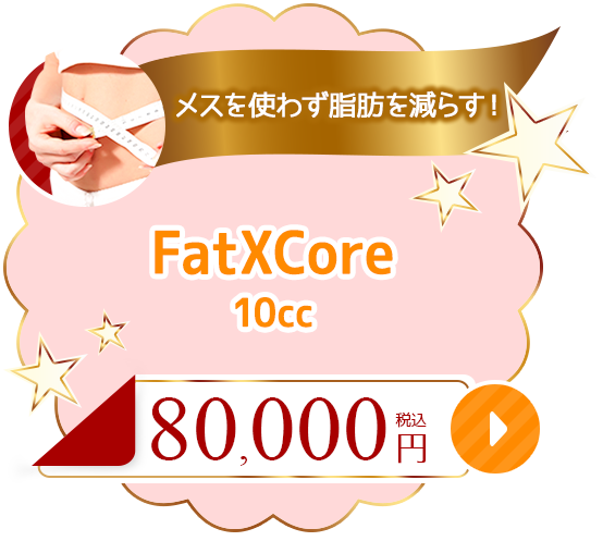 Fatcore