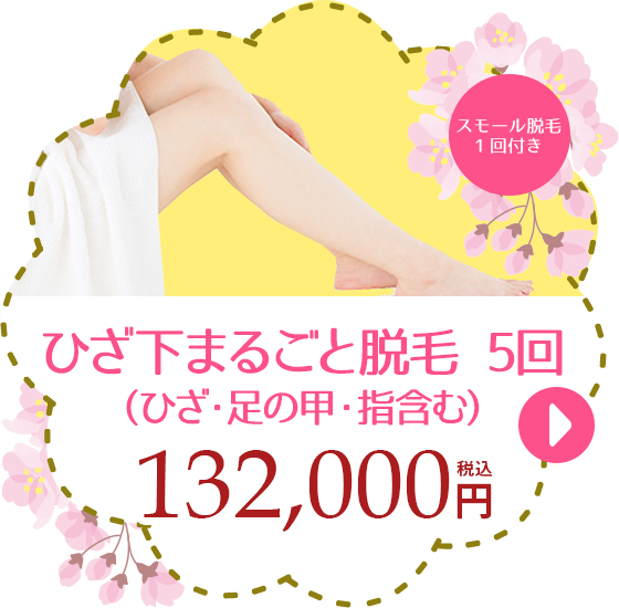 ひざ下まるごと脱毛