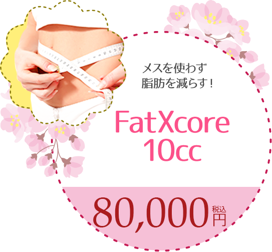Fatcore