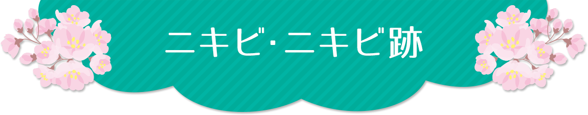 毛穴・ニキビ跡